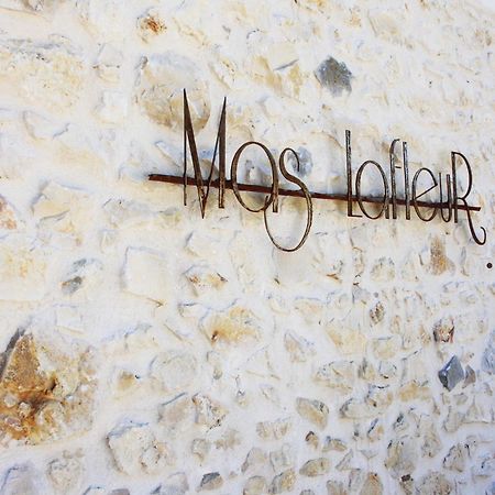 Mas Lafleur Bed & Breakfast Chateaurenard Exterior photo