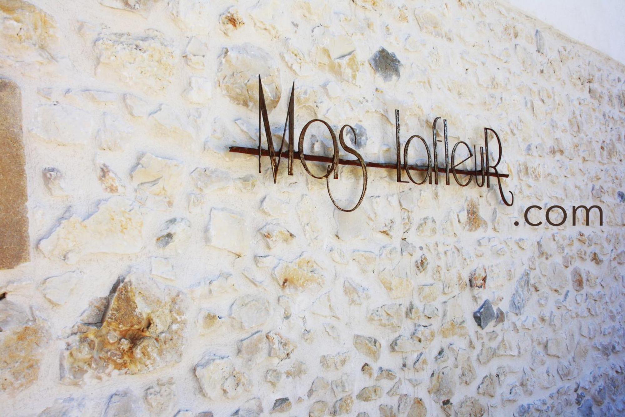 Mas Lafleur Bed & Breakfast Chateaurenard Exterior photo
